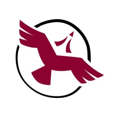 Shared Value Solutions Ltd.