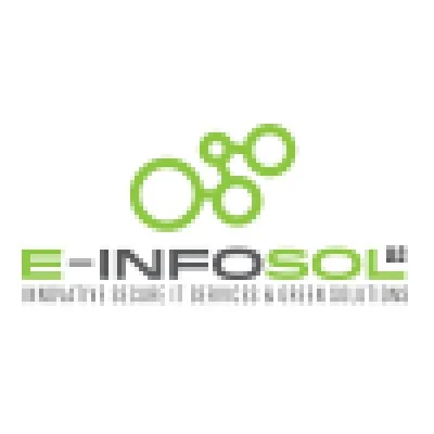 E-INFOSOL LLC