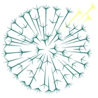 Dandelion Health