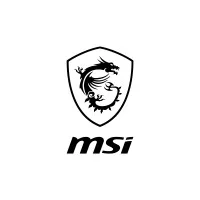 MSI